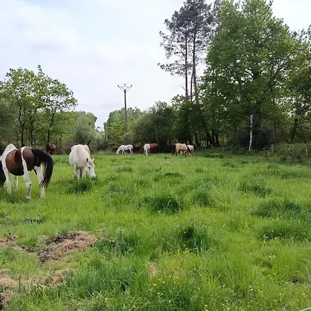 Domaine Du Plec Campingplads